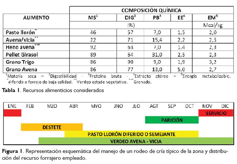 Revista PRODUCCION: Alimentaci&oacute;n de rumiantes con grano de trigo de baja calidad