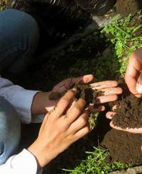 Revista PRODUCCION: Sudam&eacute;rica consolida su alianza regional por el suelo