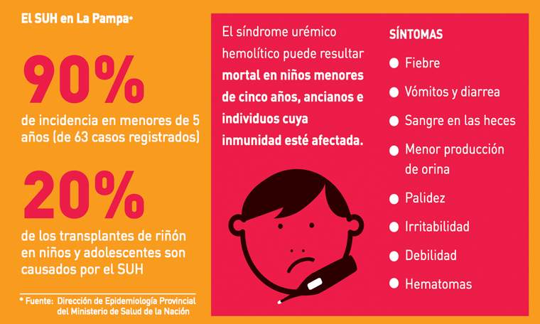 Revista PRODUCCION: Prevención del síndrome urémico hemolítico