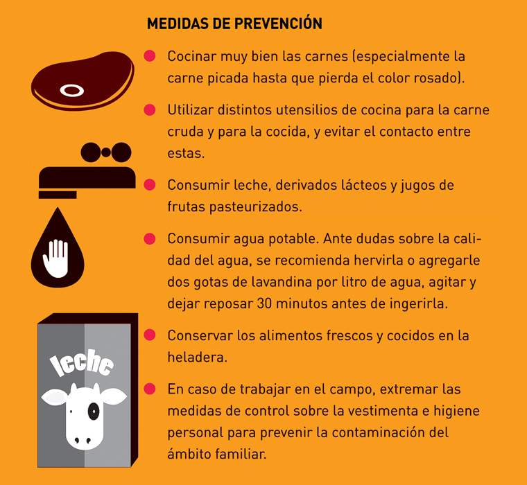 Revista PRODUCCION: Prevención del síndrome urémico hemolítico