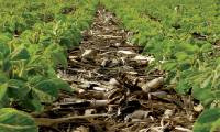 Revista PRODUCCION: C&oacute;mo aumentar los rindes y la calidad del suelo