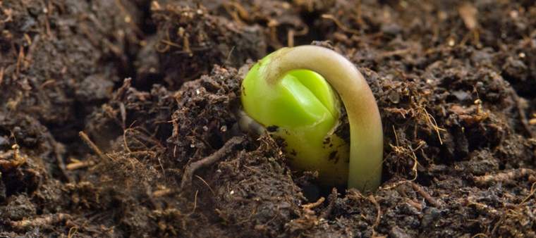 Revista PRODUCCION: Cae el nitr&oacute;geno en el campo, y se enciende una alarma en la ciudad