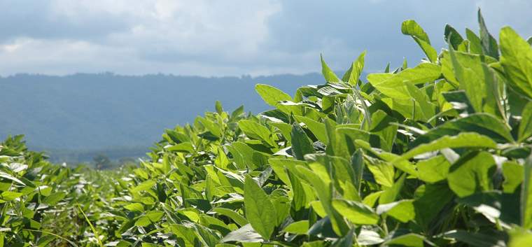 Revista PRODUCCION: "Cada a&ntilde;o estamos mejor y nos vamos superando"