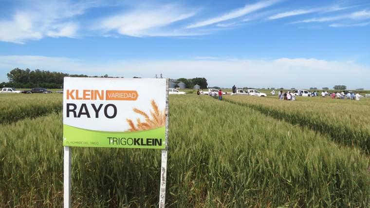 Revista PRODUCCION: Novedades de Criadero Klein