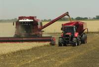 Revista PRODUCCION: el aporte de los granos: 18,6% menos divisas que en 2014