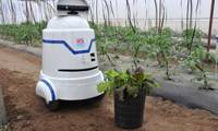 Revista PRODUCCION: robots, la pr&oacute;xima revoluci&oacute;n del campo