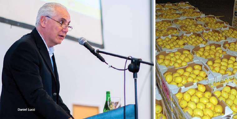 Revista PRODUCCION: los limones del noa ya golpean las puertas de estados unidos