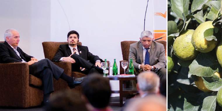 Revista PRODUCCION: los limones del noa ya golpean las puertas de estados unidos