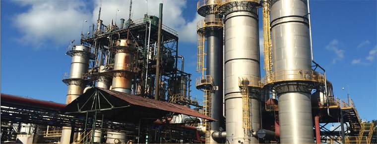 Revista PRODUCCION: desarrollo de la bioenergía