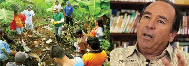 Revista PRODUCCION: saberes antiguos para la agricultura del futuro