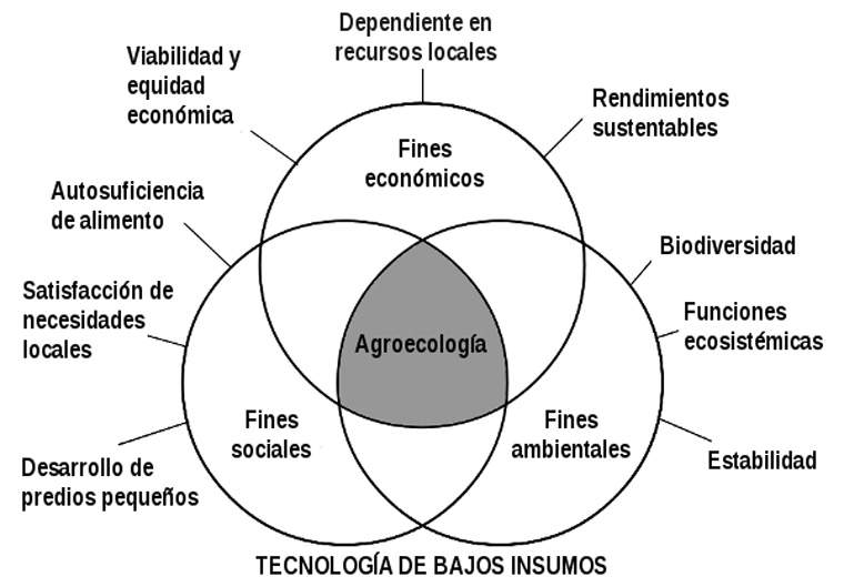 Revista PRODUCCION: saberes antiguos para la agricultura del futuro