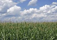 Revista PRODUCCION: el INTA medirá la huella que dejan los biocombustibles