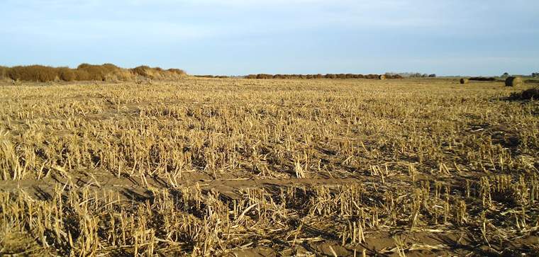 Revista PRODUCCION: productores del noa encuentran la solución para recuperar suelos erosionados 