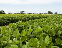 Revista PRODUCCION: firmas del agro creen que es un buen momento para invertir