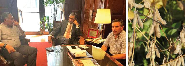 Revista PRODUCCION: soja en el noa: más hectáreas ?pero con menos rindes?