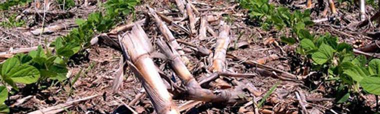 Revista PRODUCCION: recuperaci&oacute;n del consumo de fertilizantes durante 2016