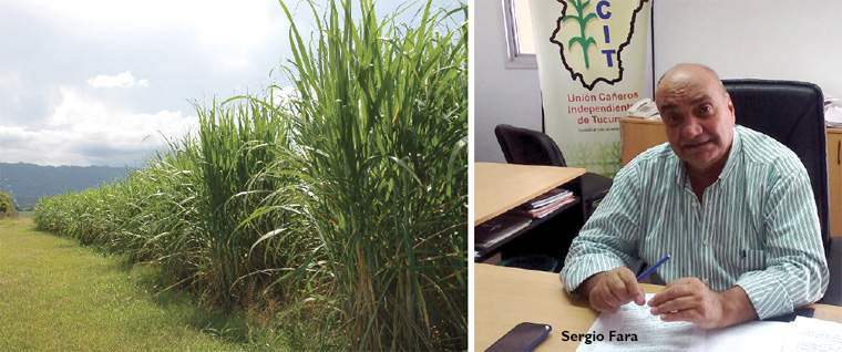 Revista PRODUCCION: el sector ca&ntilde;ero  pone todas sus  fichas en las  exportaciones  y el alcohol