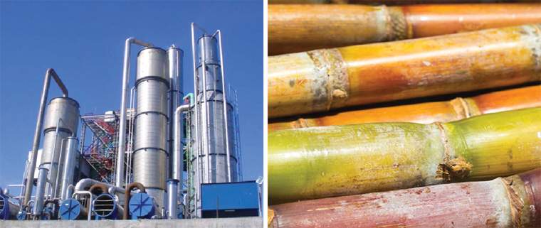 Revista PRODUCCION: el sector ca&ntilde;ero  pone todas sus  fichas en las  exportaciones  y el alcohol