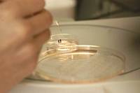 Revista PRODUCCION: producir más con menos,  y con valor agregado