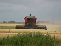 Revista PRODUCCION: las razones detrás de la baja actividad  en el mercado de campos