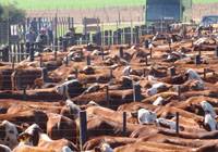 Revista PRODUCCION: Remate de establecimiento San Vicente