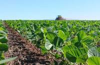 Revista PRODUCCION: Mejoró la relación insumo producto para la agricultura
