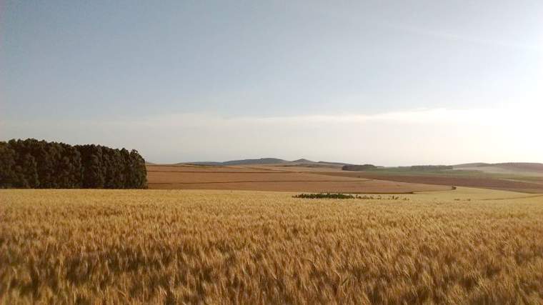 Revista PRODUCCION: mejora la eficiencia global en el uso de la energía para la agricultura