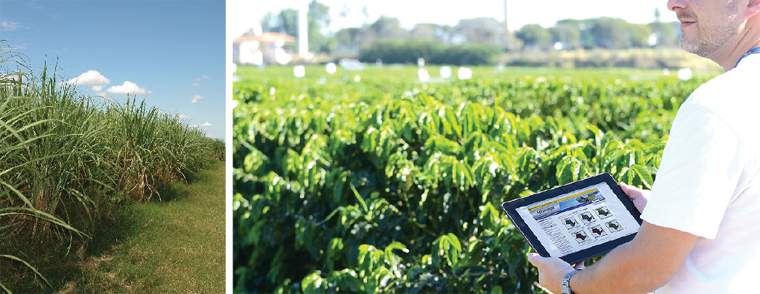 Revista PRODUCCION: microsoft y el INTA fortalecen la inteligencia artificial aplicada al agro