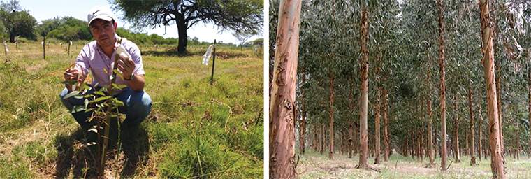 Revista PRODUCCION: pensar en verde