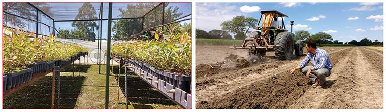 Revista PRODUCCION: pensar en verde