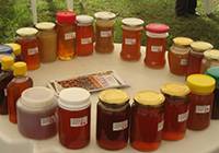 Revista PRODUCCION: en argentina se pueden obtener más de 80 mieles