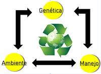 Revista PRODUCCION: Azollum H Bio - Bioestimulante radicular hortícolas y frutales