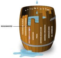Revista PRODUCCION: Azollum H Bio - Bioestimulante radicular hortícolas y frutales