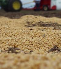 Revista PRODUCCION: el campo en tucumán sigue creciendo, produciendo y también exportando