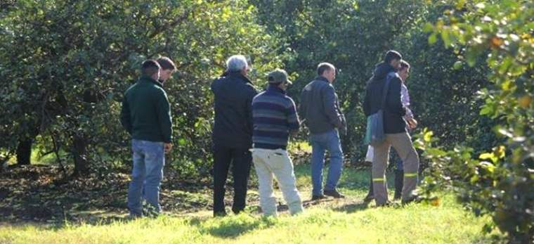 Revista PRODUCCION: stop al HLB