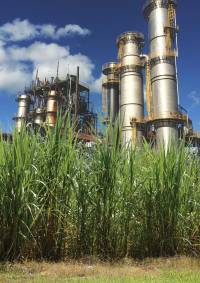 Revista PRODUCCION: la caña de azucar tiene un plan "B" en argentina y el mundo