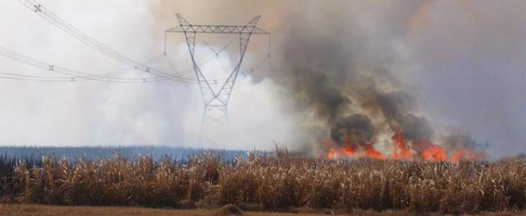 Revista PRODUCCION: perjuicios de la quema de caña al sistema eléctrico