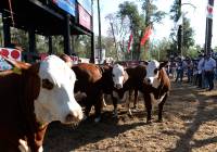 Revista PRODUCCION: 13ª expobra en santiago del estero