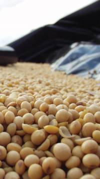 Revista PRODUCCION: en el campo, nadie se atreve a predecir su futuro