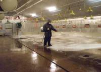 Revista PRODUCCION: bioseguridad B