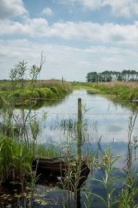 Revista PRODUCCION: planificar el uso del agua para afrontar variaciones climáticas