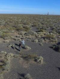 Revista PRODUCCION: Biodiversidad del suelo: base para la producción sostenible