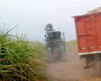 Revista PRODUCCION: CAÑA: Marcelo Fernández ¿Cómo evoluciona la zafra y cuál es el porcentaje de avance, hasta ahora?