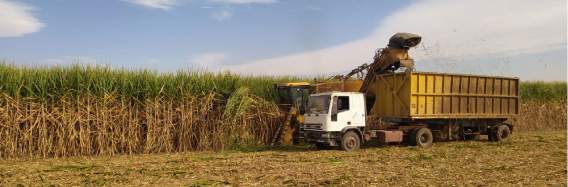 Revista PRODUCCION: CAÑA: Marcelo Fernández ¿Cómo evoluciona la zafra y cuál es el porcentaje de avance, hasta ahora?