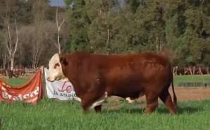 Revista PRODUCCION: Cabaña La Asuncion / remate 2021