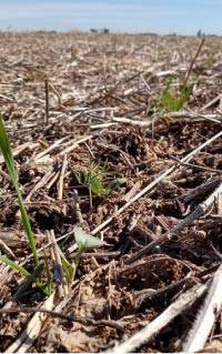 Revista PRODUCCION: Regenerar el ambiente incrementa la competitividad