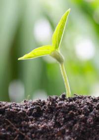 Revista PRODUCCION: “Por el alto costo de los productos es muy probable que no fertilicemos en esta campaña”