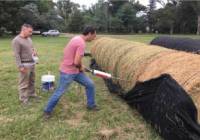 Revista PRODUCCION: Rollos de alfalfa: evalúan los efectos de taparlos con mantas