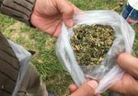 Revista PRODUCCION: Rollos de alfalfa: evalúan los efectos de taparlos con mantas