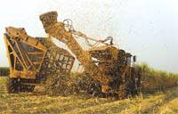 Revista PRODUCCION: Az&uacute;car: en camino hacia un r&eacute;cord productivo